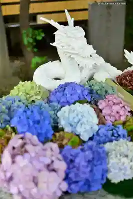 田無神社の手水舎