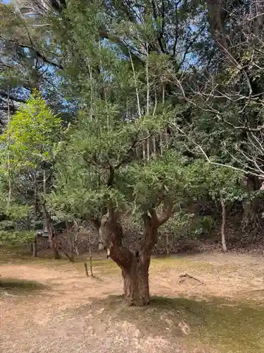 伊勢神宮内宮（皇大神宮）(三重県)