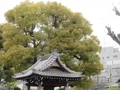 天妙国寺(東京都)