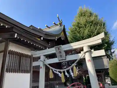 三保杉山神社(神奈川県)