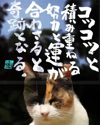 専念寺(大阪府)