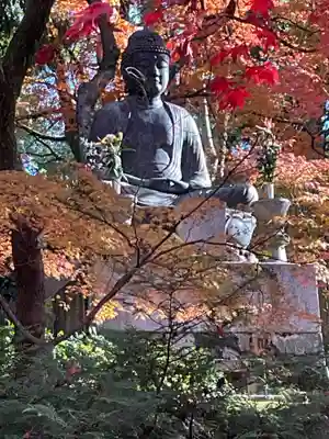 榮攝院（栄摂院）(京都府)