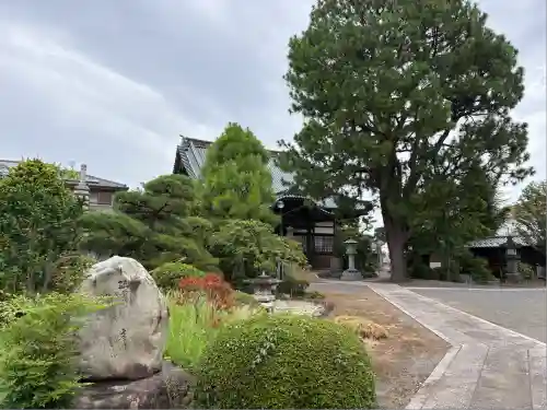 普明寺(東京都)