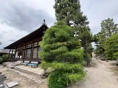 道入寺の{uncategorized: "未分類", other: "その他", undefined: "問題あり", building: "その他建物", grave: "お墓", sacred_gate: "鳥居", guardian: "狛犬", statue: "像", buddha: "仏像", history: "歴史", nature: "自然", garden: "庭園", animal: "動物", pagoda: "塔", temizu: "手水舎", mountain_gate: "山門・神門", sanctuary: "本殿・本堂", subordinate: "末社・摂社", art: "芸術", scenery: "景色", jizo: "地蔵", ema: "絵馬", goshuin: "御朱印", omikuji: "おみくじ", items: "授与品その他", amulet: "お守り", goshuincho: "御朱印帳", eats: "食事", festival: "お祭り", votive_dance: "神楽", shichigosan: "七五三参", wedding: "結婚式", experience: "体験その他", initially: "初詣", around: "周辺", anti_infection: "感染症対策"}