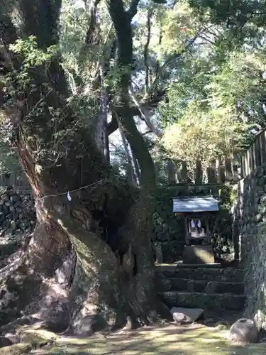 都萬神社の自然