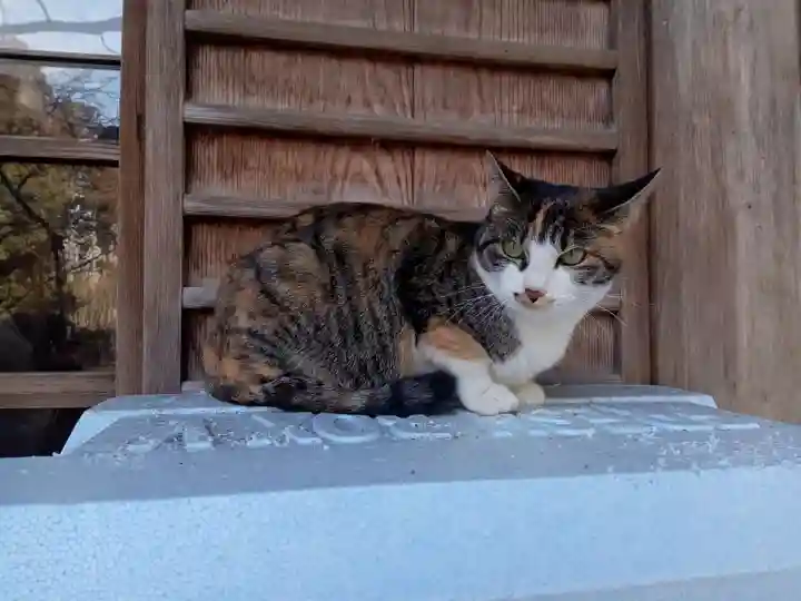 伊佐須美神社(福島県)