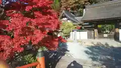 室生寺の建物その他