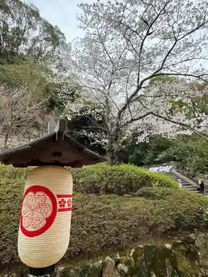 知恩院(京都府)