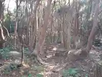 稲荷神社の自然