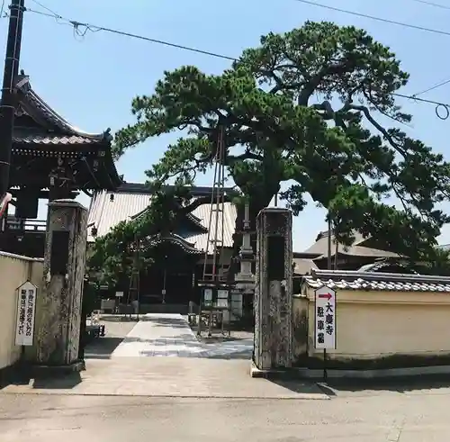 大慶寺の山門