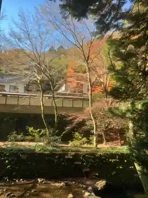 鰐淵寺(島根県)