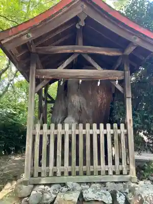 伊居太神社(大阪府)