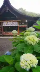 尾張大國霊神社（国府宮）の自然