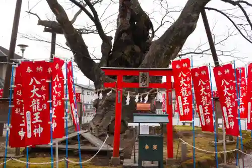 秩父今宮神社の自然