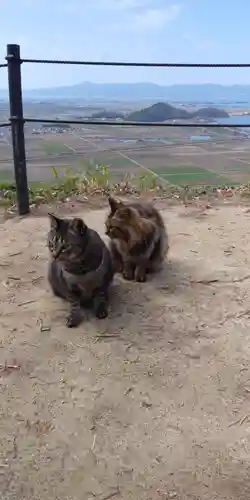 村雲御所瑞龍寺門跡の動物