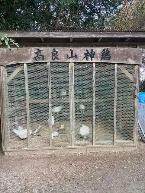 高良大社(福岡県)