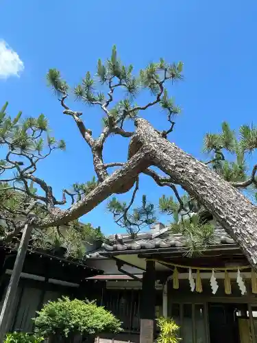 本郷氷川神社(東京都)