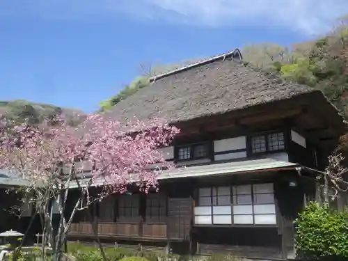 海蔵寺の本殿・本堂