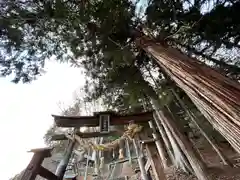 子檀嶺神社(長野県)