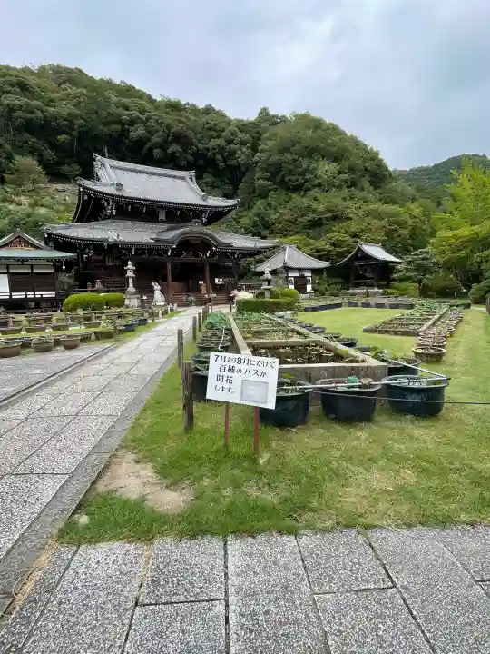 三室戸寺(京都府)
