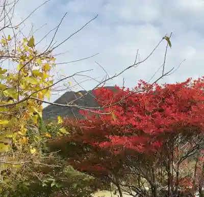 興福院お玉観音堂(神奈川県)