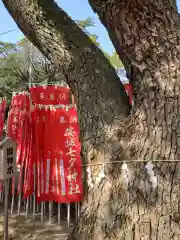 安城七夕神社(愛知県)