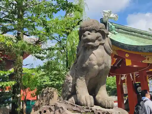 浅草神社の狛犬