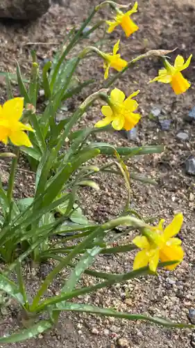 大鏑神社(福島県)
