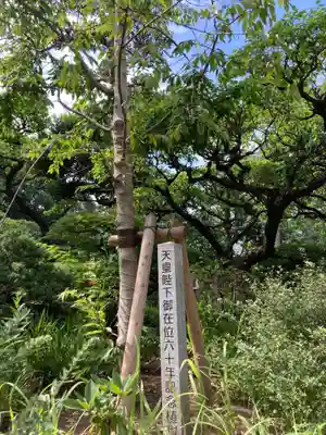 布多天神社の自然