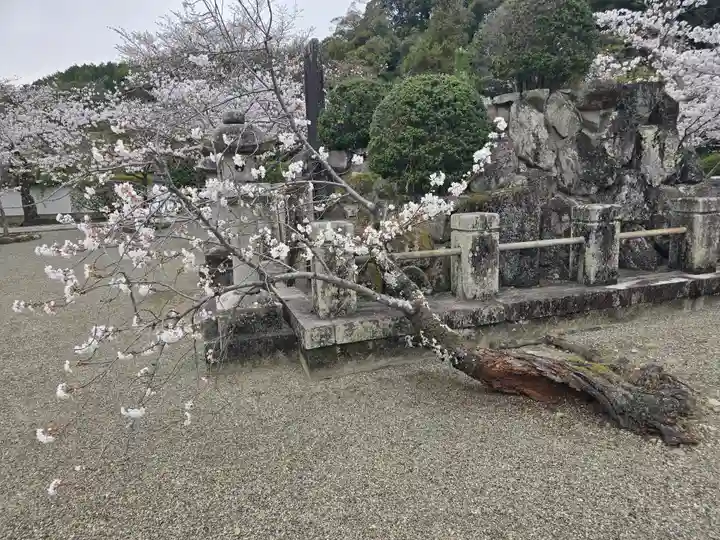 粉河寺(和歌山県)