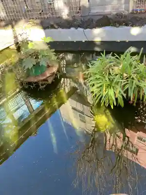 弁天院(東京都)