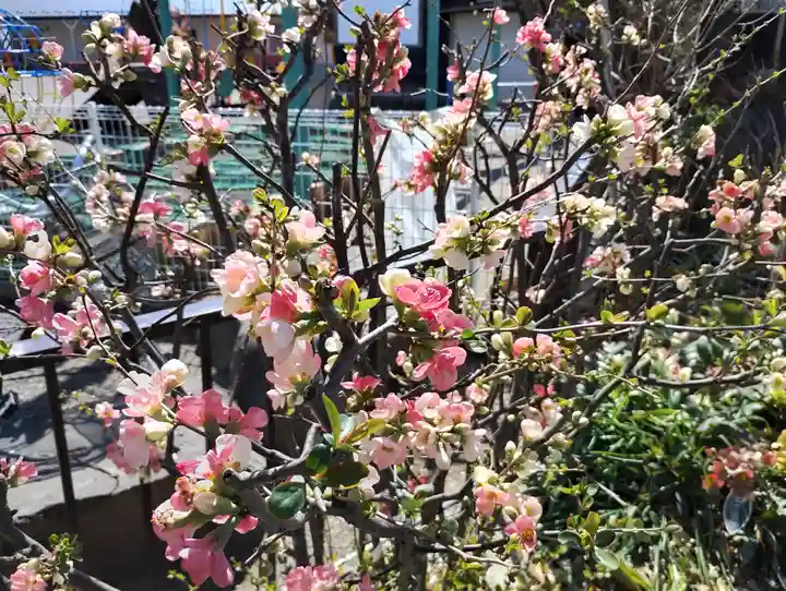 大蔵院(群馬県)