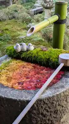 柳谷観音　楊谷寺(京都府)