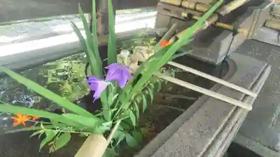 真正極楽寺(真如堂)の手水舎