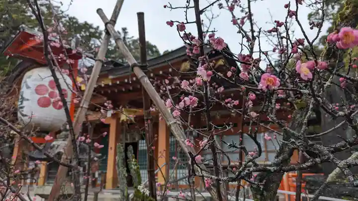 長岡天満宮(京都府)