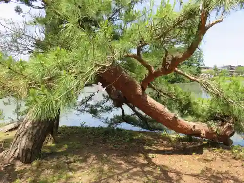 弁財天社の自然