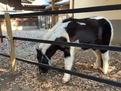 平塚八幡宮(神奈川県)