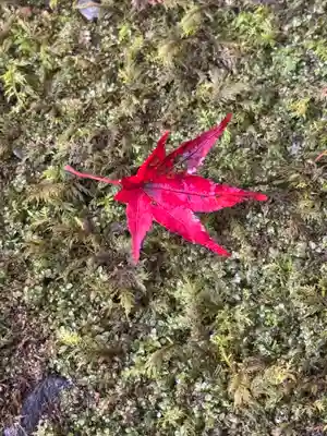 貴船神社(京都府)