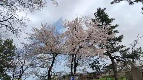 丹後一ノ宮 元伊勢 籠神社(京都府)