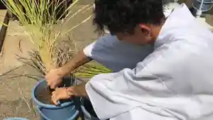 總社 和田八幡宮(福井県)(2022年09月15日(木) 20時12分49秒投稿)