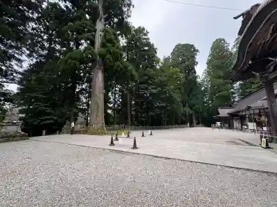 戸隠神社中社(長野県)