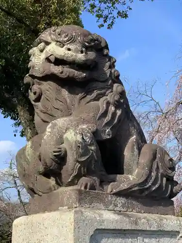 富士山本宮浅間大社の狛犬