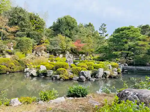 等持院の庭園