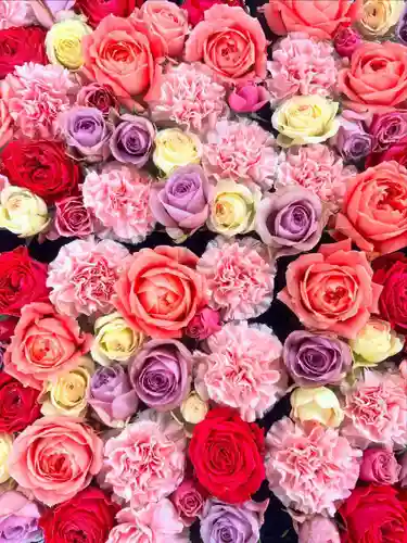 金峯神社(新潟県)