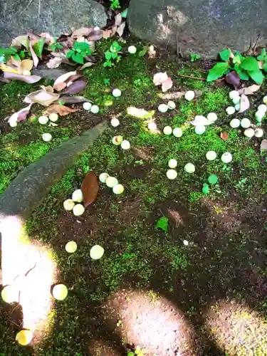 渋谷氷川神社(東京都)