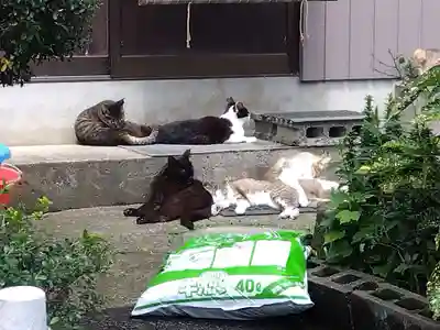 金剛院(福井県)