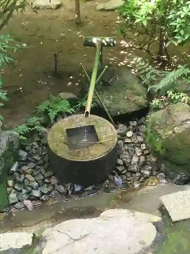 龍安寺の庭園