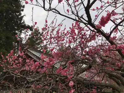 涌谷神社(宮城県)