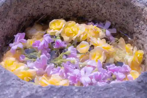 綱敷天満宮の手水舎