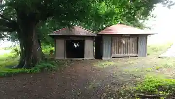 大杉神社(栃木県)
